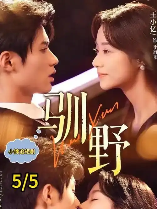 yy6080影院电视剧归途列车海报